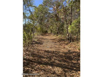 Great building opportunity. Over 1 acre of land with a clearing - photo 1