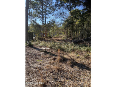 Great building opportunity. Over 1 acre of land with a clearing - photo 2