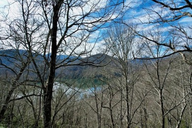 Lake Lot For Sale in Nantahala, North Carolina