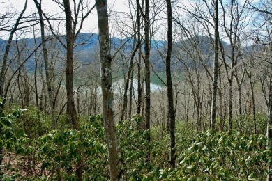 Lake Nantahala Lot For Sale in Nantahala North Carolina