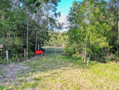 Discover Your Dream Homesite in Jupiter Farms! This large 4 - photo 7