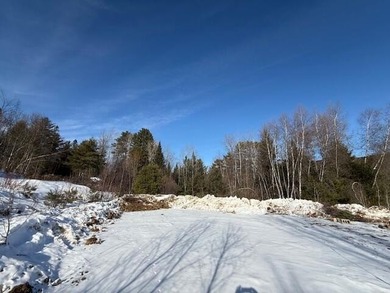 (private lake, pond, coastal) Acreage For Sale in Bethel Maine