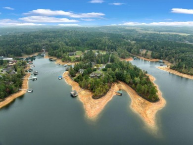 Smith Lake- Welcome to the Coveted Lake Shore West Subdivision - photo 5