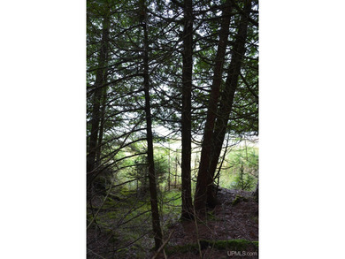 Gorgeous 20-acre Summer Island parcel has roughly 1,850 feetof - photo 7