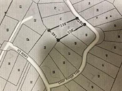 Lake Lot Sale Pending in Ocoee, Tennessee
