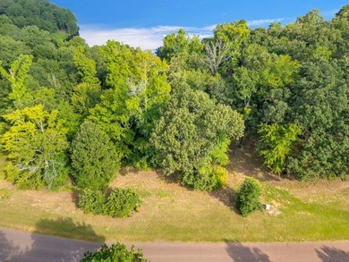 Lake front property located on Gilmer Lake. Lots are - photo 18