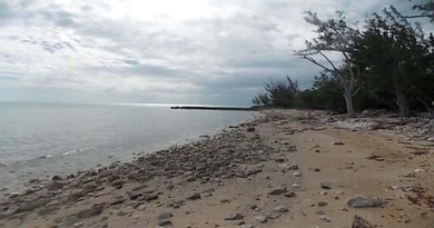 THIS VACANT PARCEL OF LAND(128.65 ACRS) IS LOCATED SOUTHWEST OF - photo 2