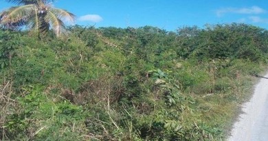 THIS VACANT PARCEL OF LAND(128.65 ACRS) IS LOCATED SOUTHWEST OF - photo 3