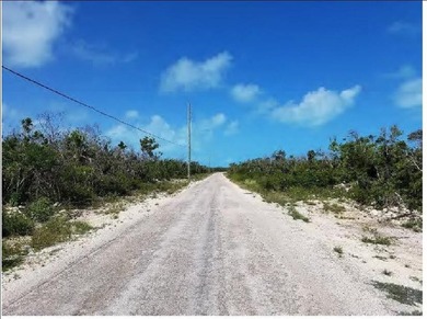THIS VACANT PARCEL OF LAND(128.65 ACRS) IS LOCATED SOUTHWEST OF - photo 4