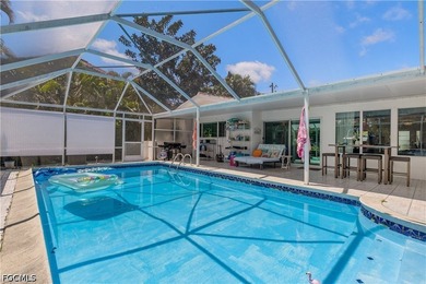 Welcome to 1300 Thompson Street, North Fort Myers, a beautifully - photo 31