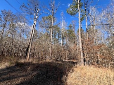 Lake Lot For Sale in Sparta, Georgia