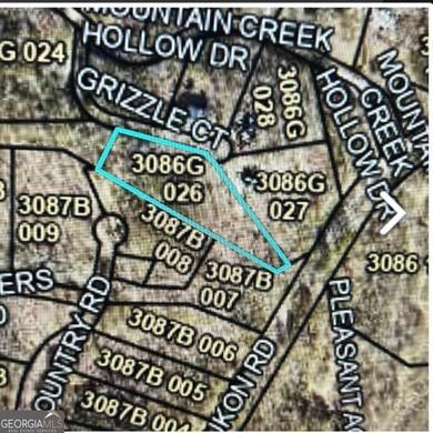 This is one of the best remaining building lots in the Mountain - photo 4