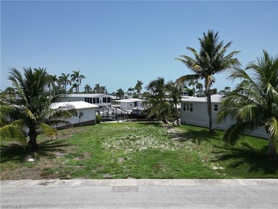 The creation of Bayside Estates dates back to 1968 which means - photo 1