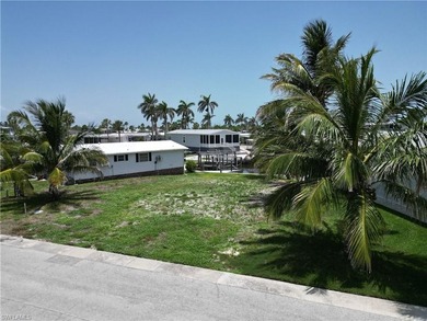 The creation of Bayside Estates dates back to 1968 which means - photo 3