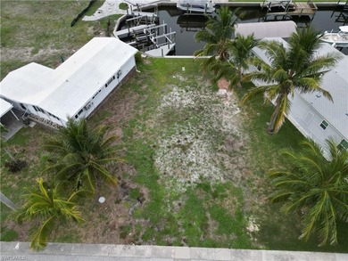 The creation of Bayside Estates dates back to 1968 which means - photo 5