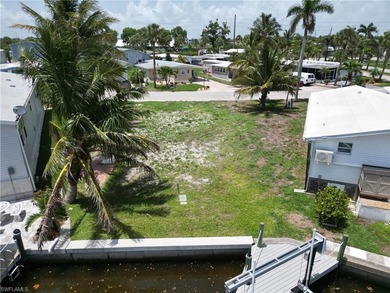 The creation of Bayside Estates dates back to 1968 which means - photo 8
