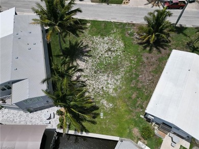 The creation of Bayside Estates dates back to 1968 which means - photo 9