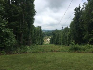 Attention Developers! This property has more than 1,700+/- feet - photo 6