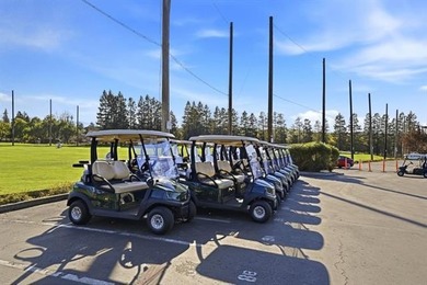 Welcome to resort-style living in The Villages Golf & Country - photo 28