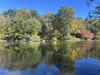 Lake Lot For Sale in Caledonia, Michigan