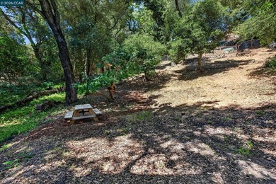Charming, single-story ranch featuring 3 bedrooms, 2 baths, and - photo 38