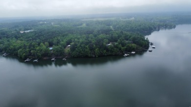 Lot 1 is a rare and unique opportunity  on the serene shores of - photo 2