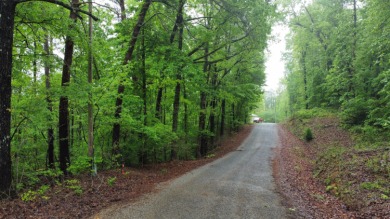 Lot 1 is a rare and unique opportunity  on the serene shores of - photo 5