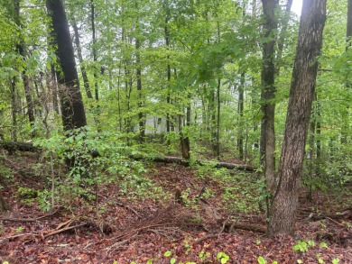 Lot 1 is a rare and unique opportunity  on the serene shores of - photo 6
