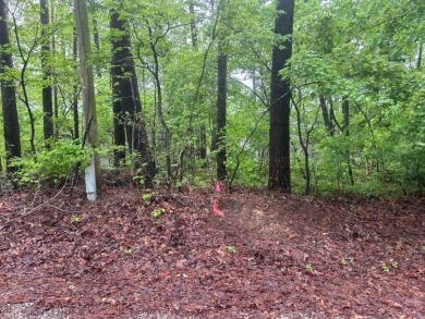 Lot 1 is a rare and unique opportunity  on the serene shores of - photo 7