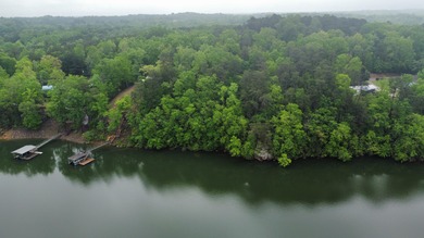 Lewis Smith Lake Lot For Sale in Crane Hill Alabama
