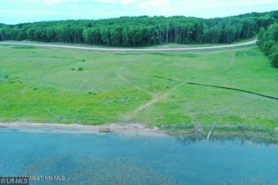 (private lake, pond, creek) Acreage For Sale in Perham Minnesota