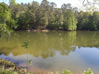 Come build your dream lakehouse in this restricted prestigious - photo 11