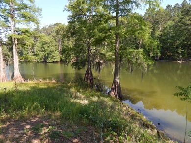 Come build your dream lakehouse in this restricted prestigious - photo 12