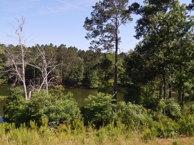 Come build your dream lakehouse in this restricted prestigious - photo 13