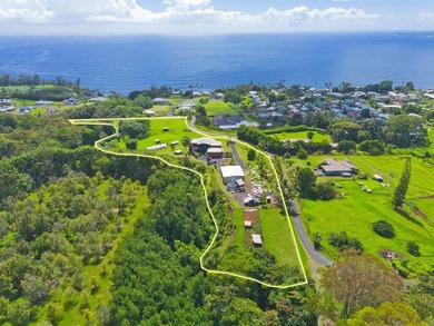 Set on 9.63 acres outside Hilo, this furnished 8-bedroom, 8-bath - photo 27
