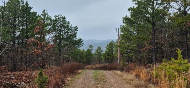 Lake Acreage For Sale in Tuskahoma, Ok., Oklahoma