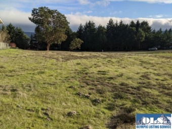  Lot For Sale in Sequimi Washington