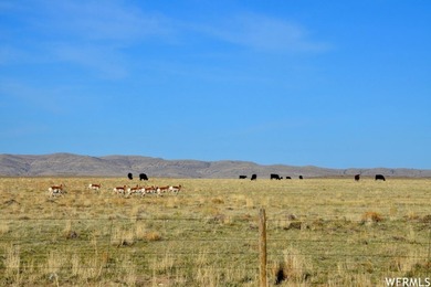 HISTORIC HAYSTACK RIVER RANCH: NORTH PLATTE RIVERFRONT LEGACY 92 - photo 36