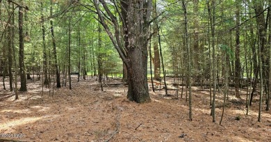 Lake Lot Sale Pending in Tafton, Pennsylvania