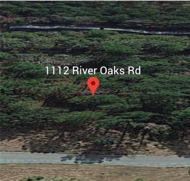 Coastal Gem - Vacant Undeveloped Lot with Southern Charm - photo 2