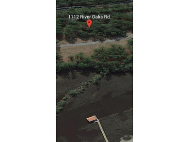 Coastal Gem - Vacant Undeveloped Lot with Southern Charm - photo 3