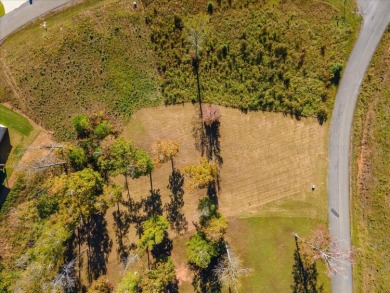 Beautiful off-shore lot near Smith Lake, offering 0.8+- acres - photo 2