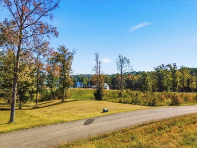 Beautiful off-shore lot near Smith Lake, offering 0.8+- acres - photo 5