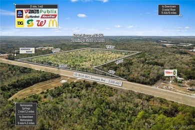 Positioned along busy US Hwy 19/98 in Homosassa, this 49.23+/- - photo 3
