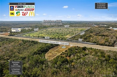 Positioned along busy US Hwy 19/98 in Homosassa, this 49.23+/- - photo 4