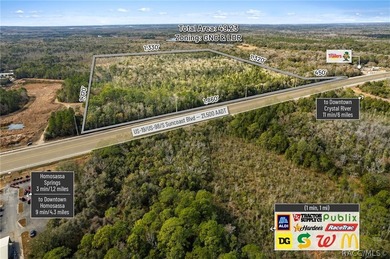 Positioned along busy US Hwy 19/98 in Homosassa, this 49.23+/- - photo 9