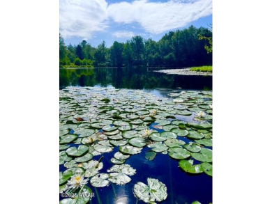 Lake Home Sale Pending in Lake Ariel, Pennsylvania