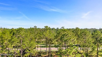 Build your dream estate in Jacksonville Ranch Club, one of - photo 4