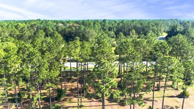 Build your dream estate in Jacksonville Ranch Club, one of - photo 7