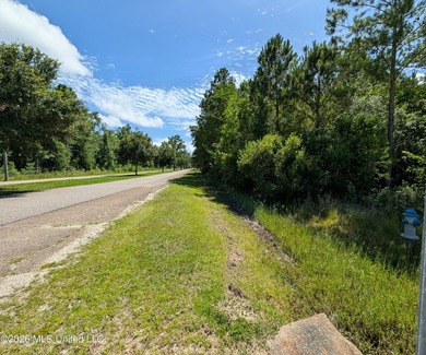 Calling all Aviators - This wonderful corner lot offers 112+/- - photo 2